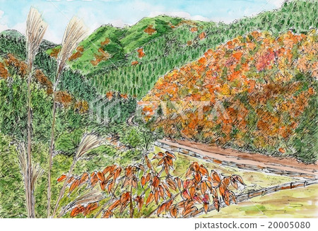 Mountain path of autumn leaves 20005080