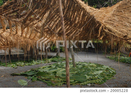 舉行神道教神社的古老村莊的地點 舉行神道教神社的古老村莊的地點 20005228