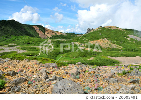 群馬縣草津Shiraneyama徒步旅行komakusa組布 20005491