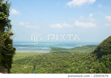 從Iriomote海島Pinaisala瀑布的頂端看法 20005676