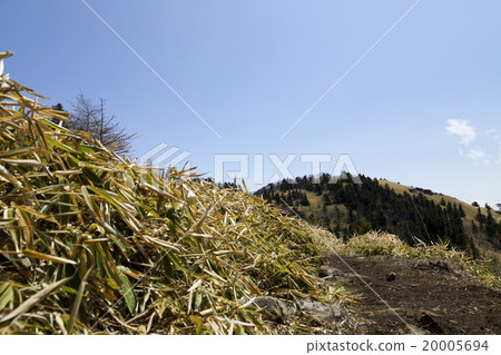 Bear and mountaineering path 20005694