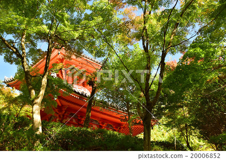 初秋的Mitaki-ji寺(Towa Tower) 初秋的Mitaki-ji寺(Towa Tower) 20006852