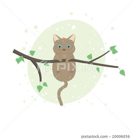 cat on the tree cat on the tree 20006856
