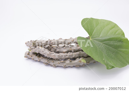 heart leaf moonseed  herb for healthy 20007012
