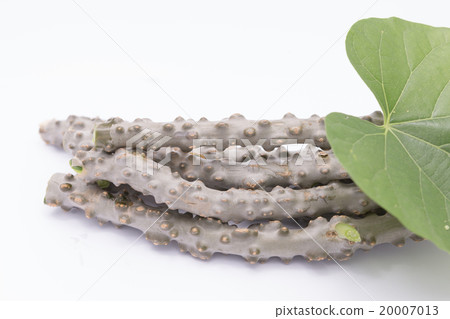 heart leaf moonseed  herb for healthy 20007013