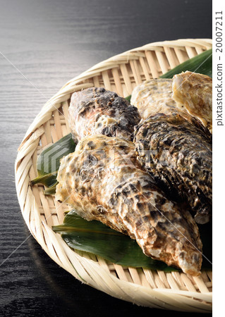 Oyster Oyster 20007211