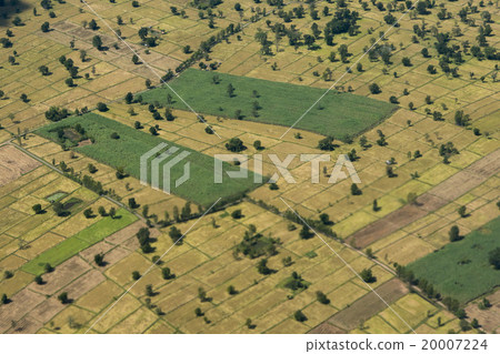 THAILAND ISAN BURI RAM LANDSCAPE FIELDS 20007224