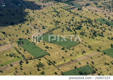 THAILAND ISAN BURI RAM LANDSCAPE FIELDS 20007225
