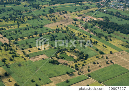 THAILAND ISAN BURI RAM LANDSCAPE FIELDS 20007227