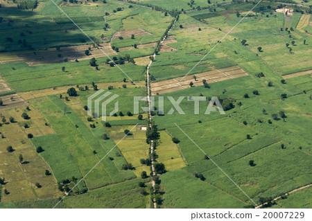 THAILAND ISAN BURI RAM LANDSCAPE FIELDS 20007229