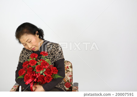 Mother's Day gift Carnation 20007591