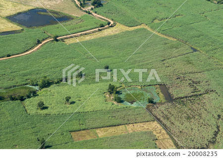 THAILAND ISAN BURI RAM LANDSCAPE FIELDS 20008235