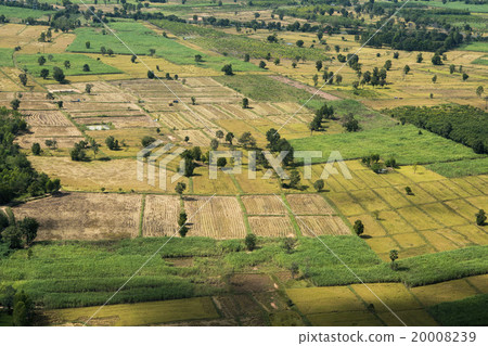 THAILAND ISAN BURI RAM LANDSCAPE FIELDS 20008239