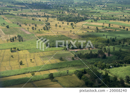 THAILAND ISAN BURI RAM LANDSCAPE FIELDS 20008240