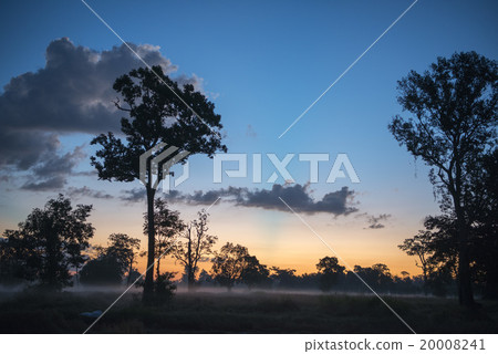 THAILAND ISAN SURIN LANDSCAPE MORNING 20008241