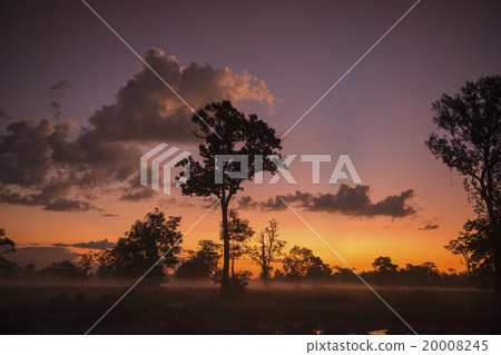 THAILAND ISAN SURIN LANDSCAPE MORNING 20008245