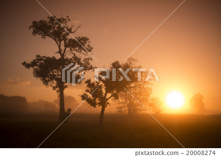 THAILAND ISAN SURIN LANDSCAPE MORNING THAILAND ISAN SURIN LANDSCAPE MORNING 20008274