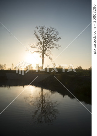 THAILAND ISAN SURIN LANDSCAPE MORNING 20008290