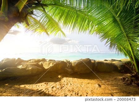 View on the ocean 20008473