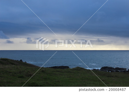 Moai 20008487