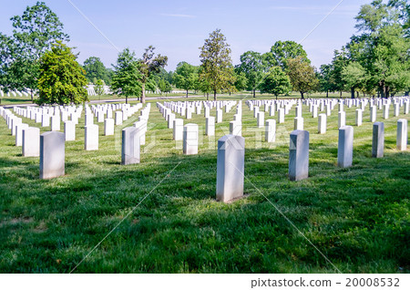 Rows of White Grave Stones 20008532