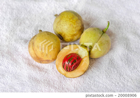 Nutmeg fruits 20008906