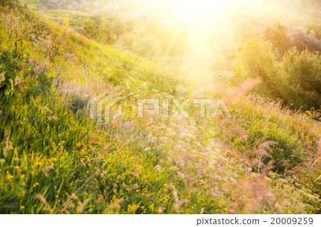 rural landscape with sunrise over a meadow 20009259