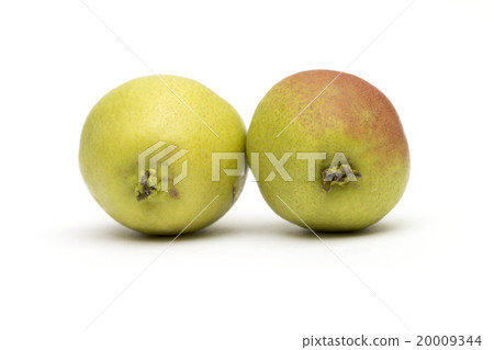 pear on the white background 20009344