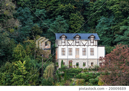 Building with trees 20009889