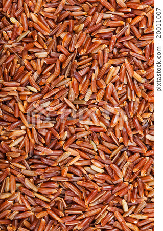 uncooked long-grain Red Kernel rice uncooked long-grain Red Kernel rice 20011007