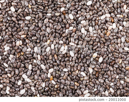 dry seeds of Chia (salvia hispanica) plant dry seeds of Chia (salvia hispanica) plant 20011008
