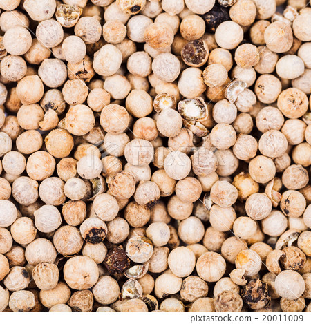 dried white pepper peppercorns dried white pepper peppercorns 20011009