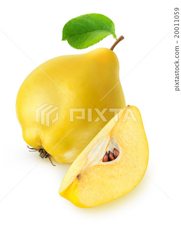 Isolated quince fruit 20011059