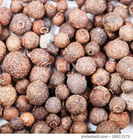 many jamaica pepper berries (allspice) 20011575