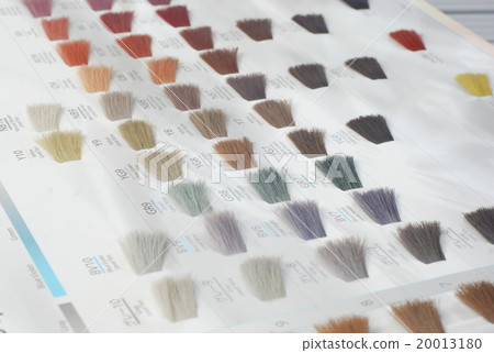 頭髮顏色圖表 頭髮顏色圖表 20013180