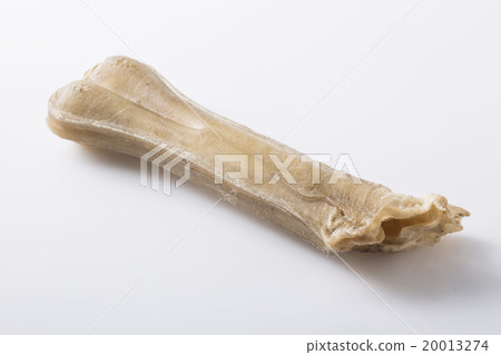 Eaten dog treat bone on background 20013274