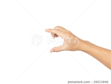 Hand isolated on white background with clipping path 20013840