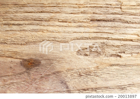 Old wood background 20013897