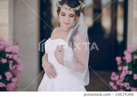 wedding day HD 20014366
