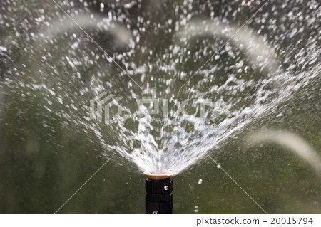 sprinkler head watering the flowers and grass sprinkler head watering the flowers and grass 20015794