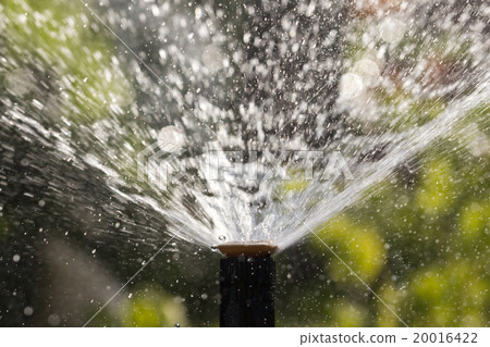 sprinkler head watering the flowers and grass sprinkler head watering the flowers and grass 20016422