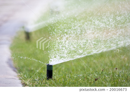 sprinkler head watering the grass 20016673