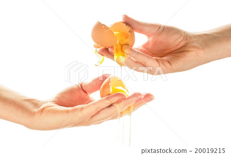 Hands breaking an egg on white background Hands breaking an egg on white background 20019215