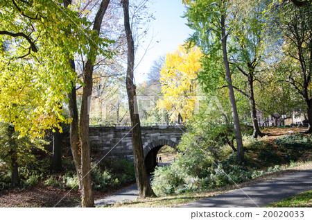 New York Central Park New York Central Park 20020033
