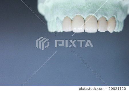 White teeth 20021120