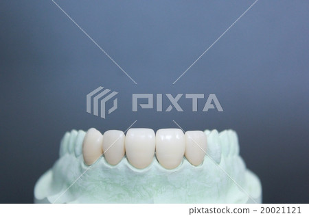 White teeth White teeth 20021121