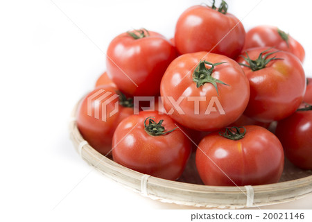 Tomato with bamboo bark 20021146