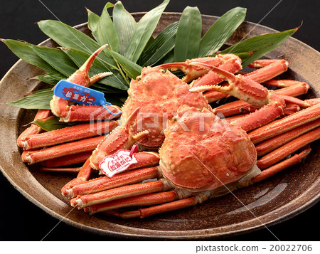松葉蟹 20022706
