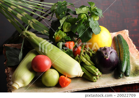 夏季蔬菜 20022709