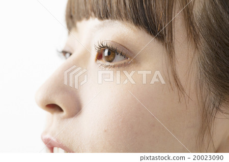 Young lady portrait face-up profile Young lady portrait face-up profile 20023090